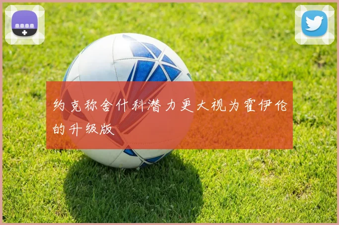 约克称舍什科潜力更大视为霍伊伦的升级版