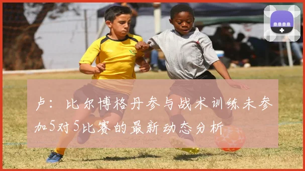 卢：比尔博格丹参与战术训练未参加5对5比赛的最新动态分析
