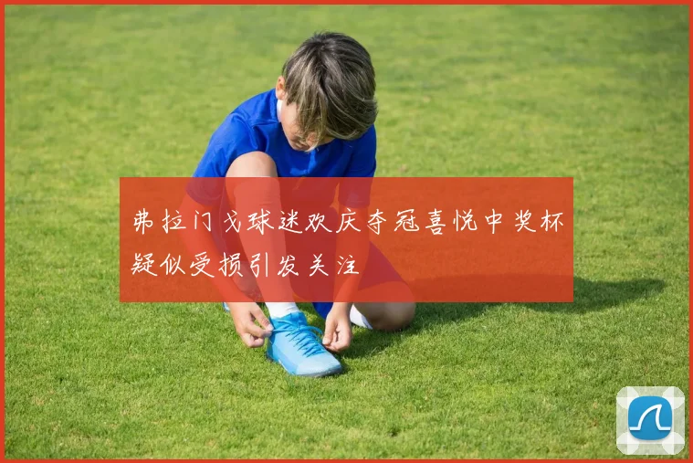 弗拉门戈球迷欢庆夺冠喜悦中奖杯疑似受损引发关注